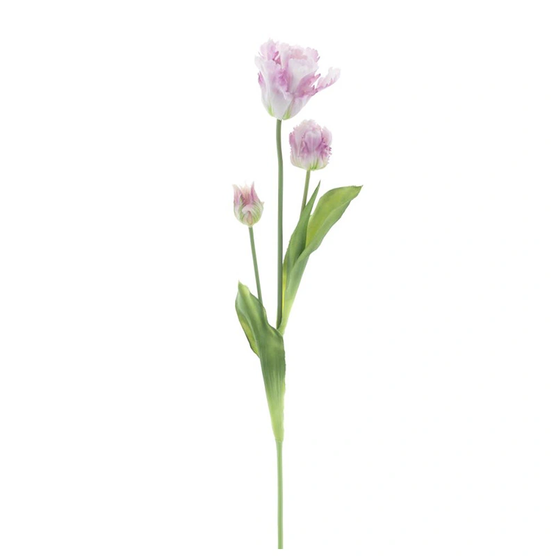 Kunst Parrot Tulp 3x 71 cm - Lavendel