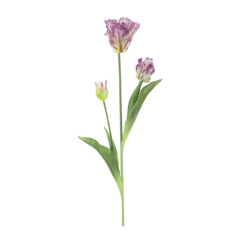 Kunst Parrot Tulp 3x 71 cm - Paars