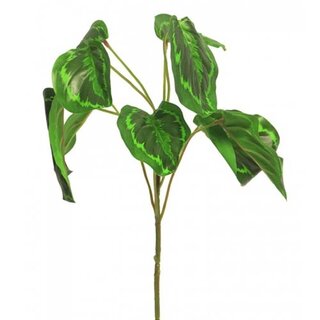 Kunst Calathea 45 cm - Green
