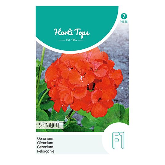 Horti Tops Pelargonium, Geranium Sprinter F1 oranje/rood - afbeelding 1