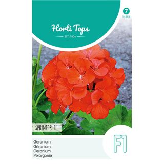 Horti Tops Pelargonium, Geranium Sprinter F1 oranje/rood - afbeelding 1