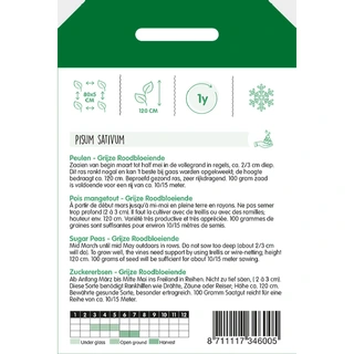 Horti Tops Peulen Grijze Roodbloeier - afbeelding 2