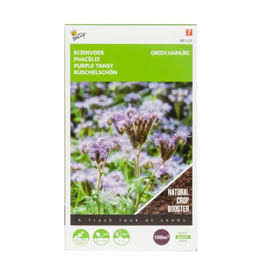 Buzzy® Phacelia Tanacetifolia - afbeelding 1