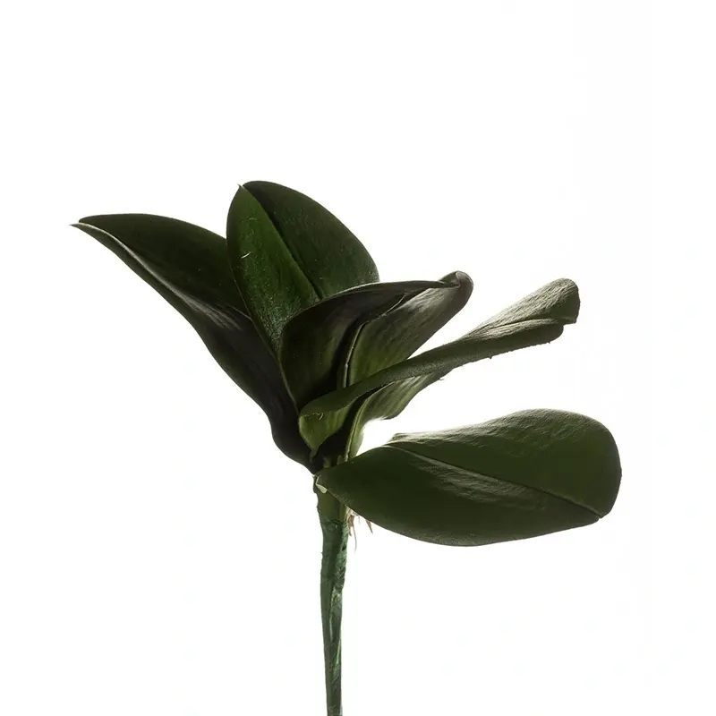 Kunsttak Phalaenopsis Leaf Bush Dark Green - 25 cm