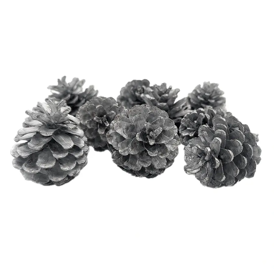 Losse Dennenappels Zilver - 10 st. - afbeelding 1
