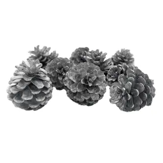 Losse Dennenappels Zilver - 10 st. - afbeelding 1