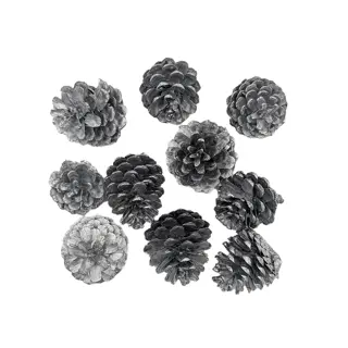 Losse Dennenappels Zilver - 10 st. - afbeelding 2