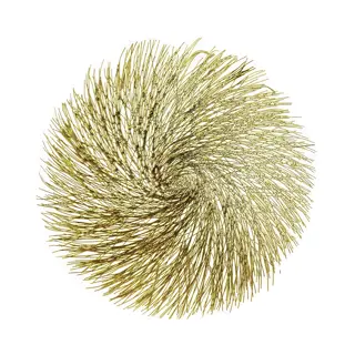 Placemat Clara Ø38 cm - Goud | Tuincentrum De Boet