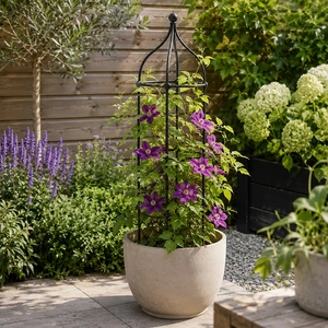 Plant accessoires