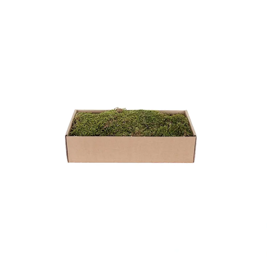 My Village Platmos 500 g - Groen-Bruin