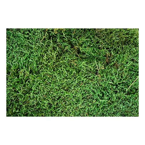 My Village Platmos 500 g - Groen - afbeelding 2