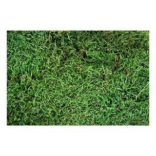 My Village Platmos 500 g - Groen - afbeelding 2