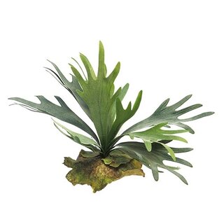 Kunst Platycerium Hertshoornvaren 27 cm