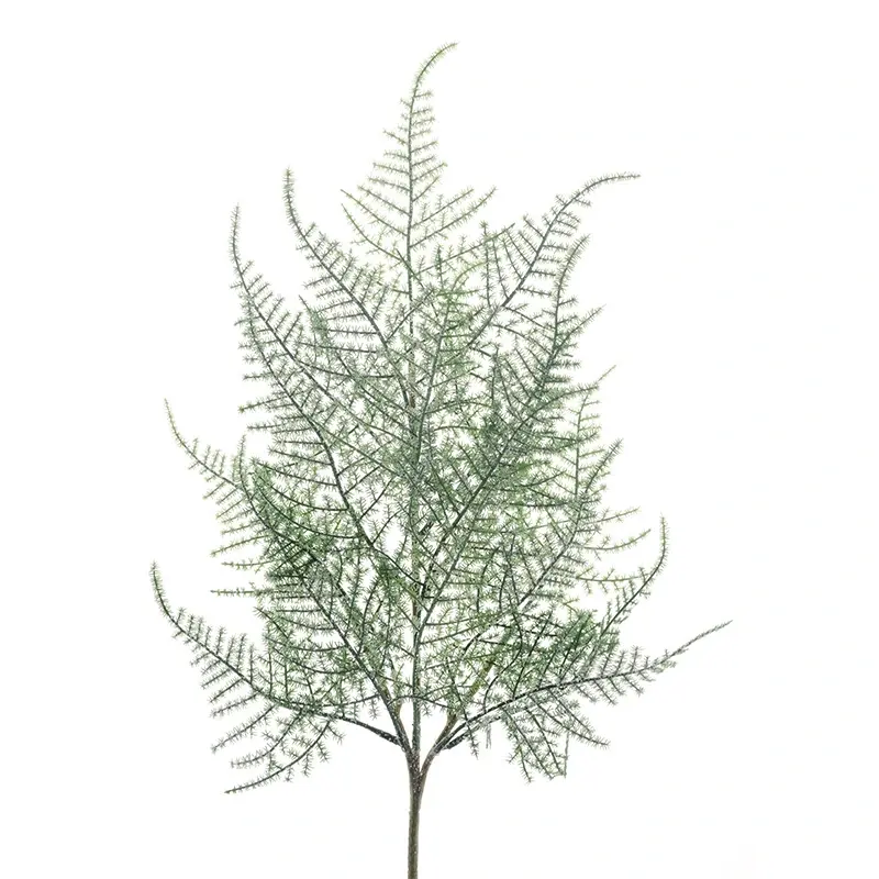 Kunsttak Plumosa Asparagus Frosted - 65 cm