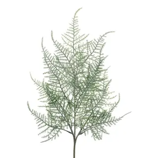 Kunsttak Plumosa Asparagus Frosted - 65 cm