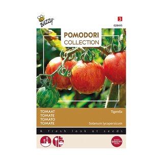 Buzzy® Pomodori, Tomaat Tigerella - afbeelding 1