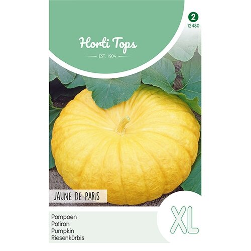 Horti Tops Pompoen Jaune de Paris - afbeelding 1