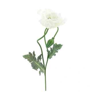 Kunstbloem Poppy Casper Crème - 73 cm| De Boet