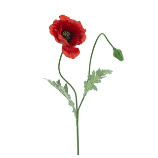 Kunstbloem Poppy Casper Rood - 73 cm| De Boet