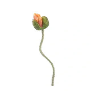Kunstbloem Poppy Ilse Peach - 69 cm