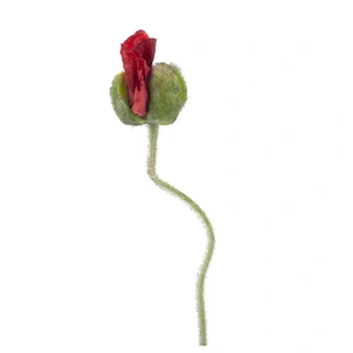 Kunstbloem Poppy Ilse Rood - 69 cm