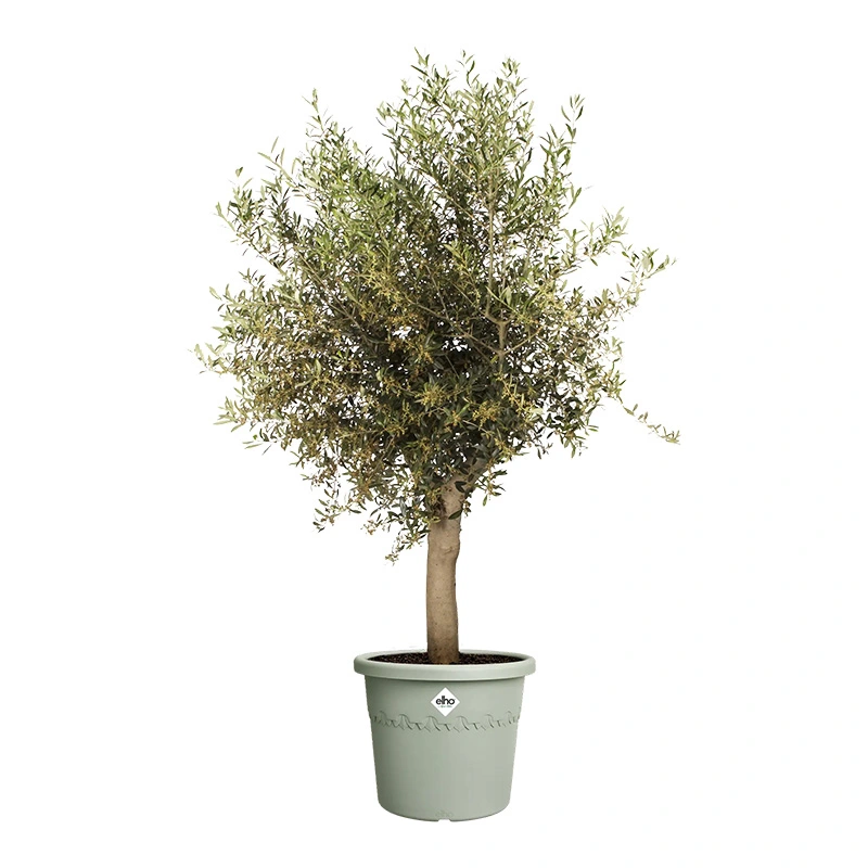 Elho Algarve Cilindro Pot Ø30 cm - Tijmgroen - afbeelding 3