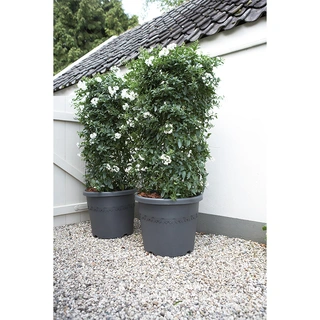 Elho Algarve Cilindro Pot Ø40 cm - Antraciet - afbeelding 2