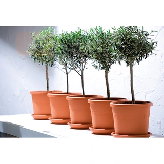 Elho Algarve Cilindro Pot Ø40 cm - Terra - afbeelding 4