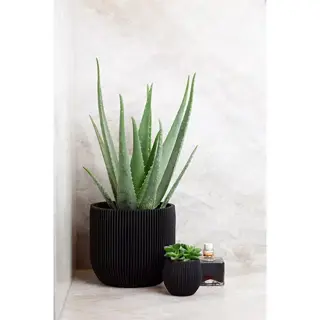 Capi Pot Bol Groove 24x21 cm - Zwart - afbeelding 2