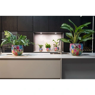 Ter Steege Pot Dutch Beauty Spring D24xH21 cm - afbeelding 2