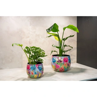 Ter Steege Pot Dutch Beauty Spring D9xH7 cm - afbeelding 2