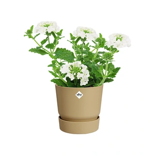 Elho Greenville Pot Ø14 cm - Goud Zand - afbeelding 2