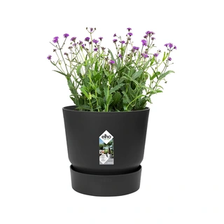 Elho Greenville Pot Ø16 cm - Living Black - afbeelding 2