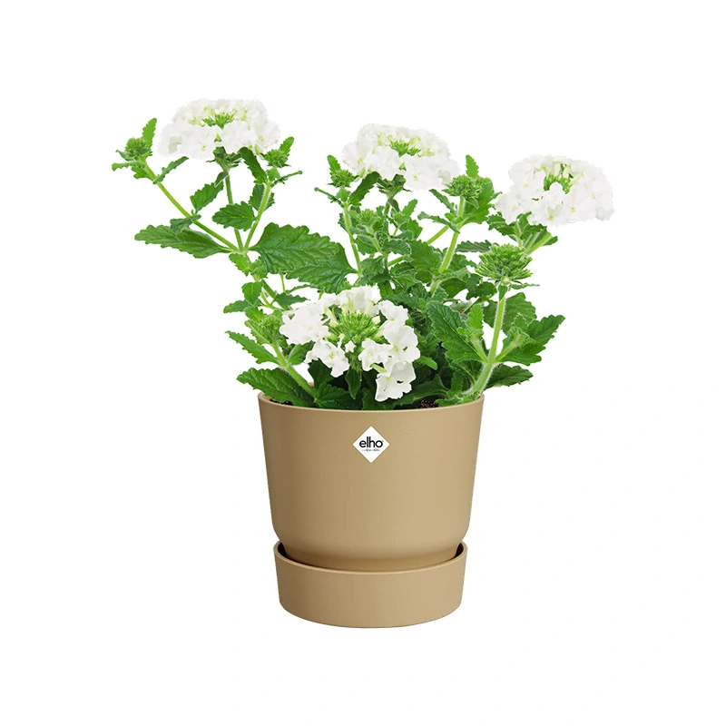 Elho Greenville Pot Ø18 cm - Goud Zand - afbeelding 2