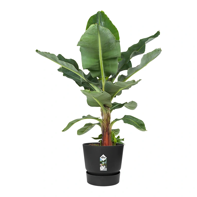 Elho Greenville Pot Ø25 cm - Living Black - afbeelding 2