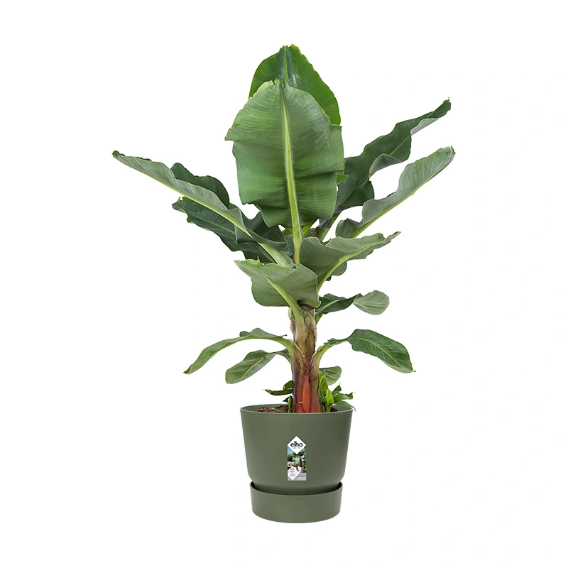 Elho Greenville Pot Ø40 cm - Blad Groen - afbeelding 2