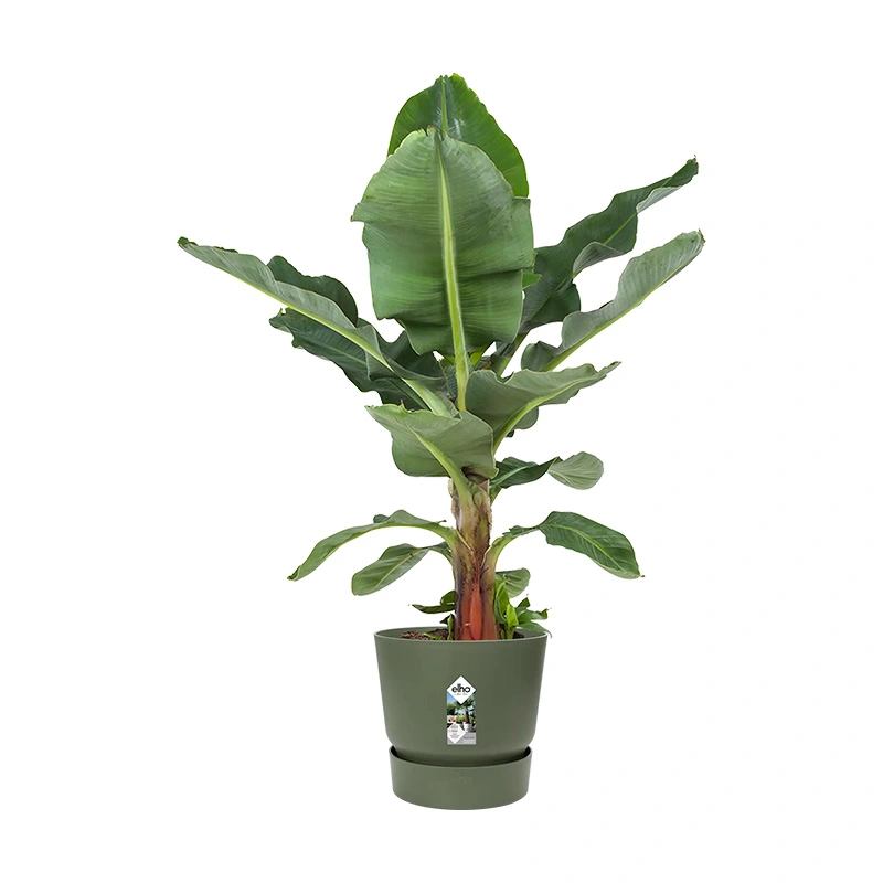 Elho Greenville Pot Ø47 cm - Blad Groen - afbeelding 2