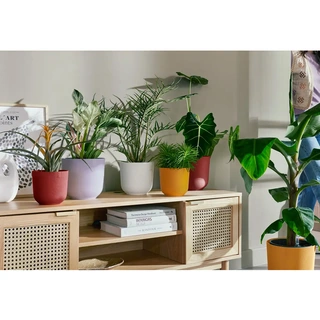 Elho Pot Jazz Ø16 cm - Geel - afbeelding 3
