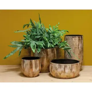 Floran Pot Madeira Goud - Ø17x16 cm - afbeelding 2