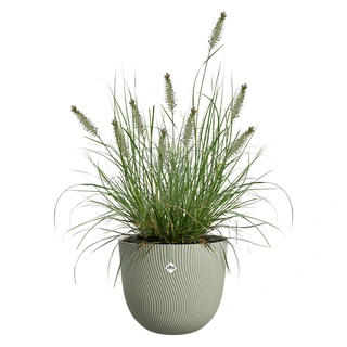 Elho Sereh Pot Ø25 cm - Groen - afbeelding 2