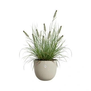 Elho Sereh Pot Ø25 cm - Paddenstoel Beige - afbeelding 2