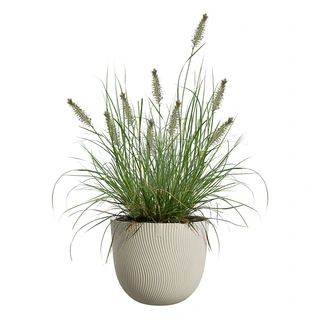 Elho Sereh Pot Ø40 cm - Paddenstoel Beige - afbeelding 4
