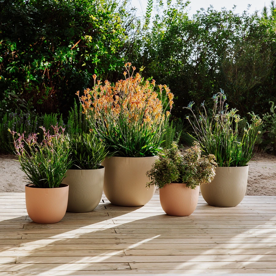 Elho Sereh Pot Ø40 cm - Paddenstoel Beige - afbeelding 5