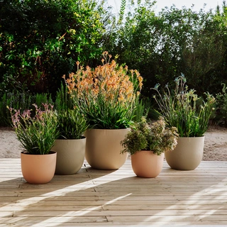 Elho Sereh Pot Ø40 cm - Paddenstoel Beige - afbeelding 5