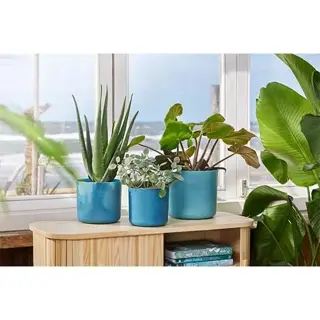 Elho Bloempot Ocean Atlantisch Blauw - 14 cm - afbeelding 6