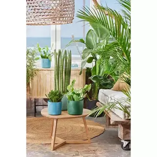 Elho Bloempot Ocean Atlantisch Blauw - 14 cm - afbeelding 8