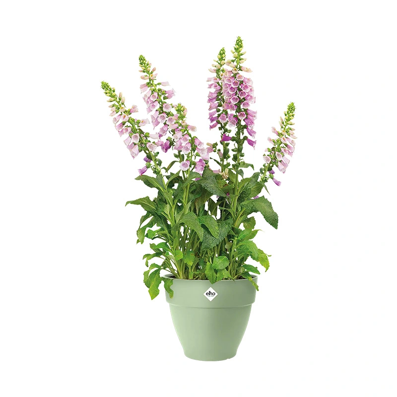 Elho Vibia Campana Pot Ø25 cm - Pistachegroen - afbeelding 2