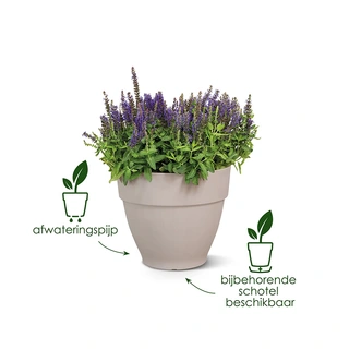 Elho Vibia Campana Pot Ø35 cm - Pistachegroen - afbeelding 4