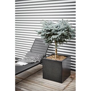 Capi Lux Planter Vierkant 30x30 - Zwart - afbeelding 3