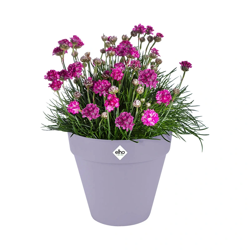 Elho Loft Urban Pot+Wiel Ø40 cm - Lila - afbeelding 2